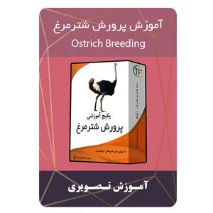 ویدئو آموزش پرورش شترمرغ نشر برج