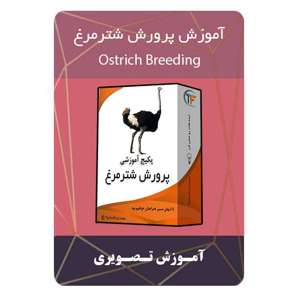 ویدئو آموزش پرورش شترمرغ نشر برج