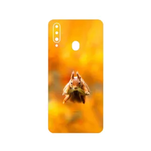 MAHOOT Squirrel Cover Sticker for Samsung Galaxy A20s