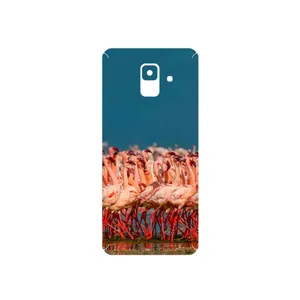 MAHOOT Flamingo Cover Sticker for Samsung Galaxy A6 2018