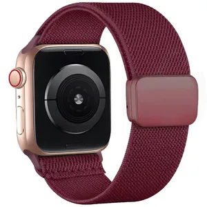 Sprig Magnetic Elastic Band suitable for Apple Watch Series 10/11 42mm