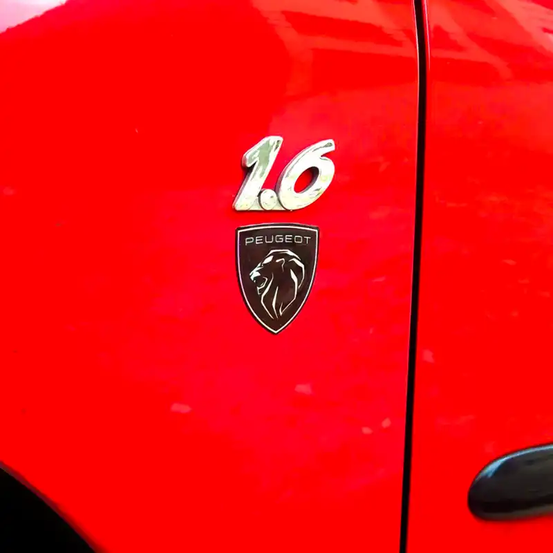 آرم گلگیر خودرو آرسی زد اسپرت مدل Lion2021 مجموعه 2 عددی