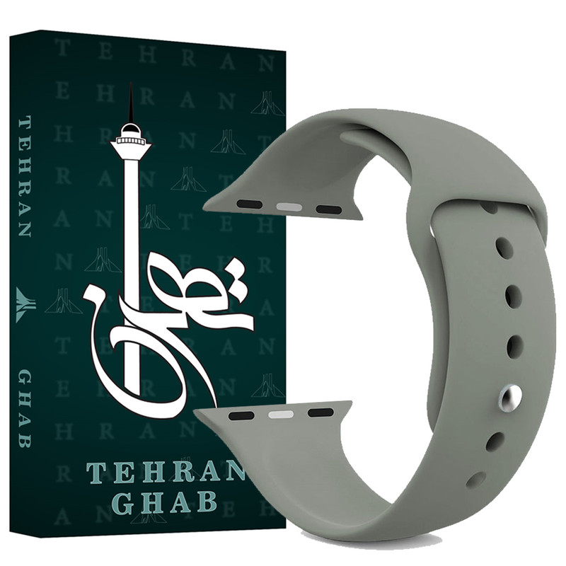 بند تهران قاب مدل BSLT مناسب برای اپل واچ Watch Series 6 40mm