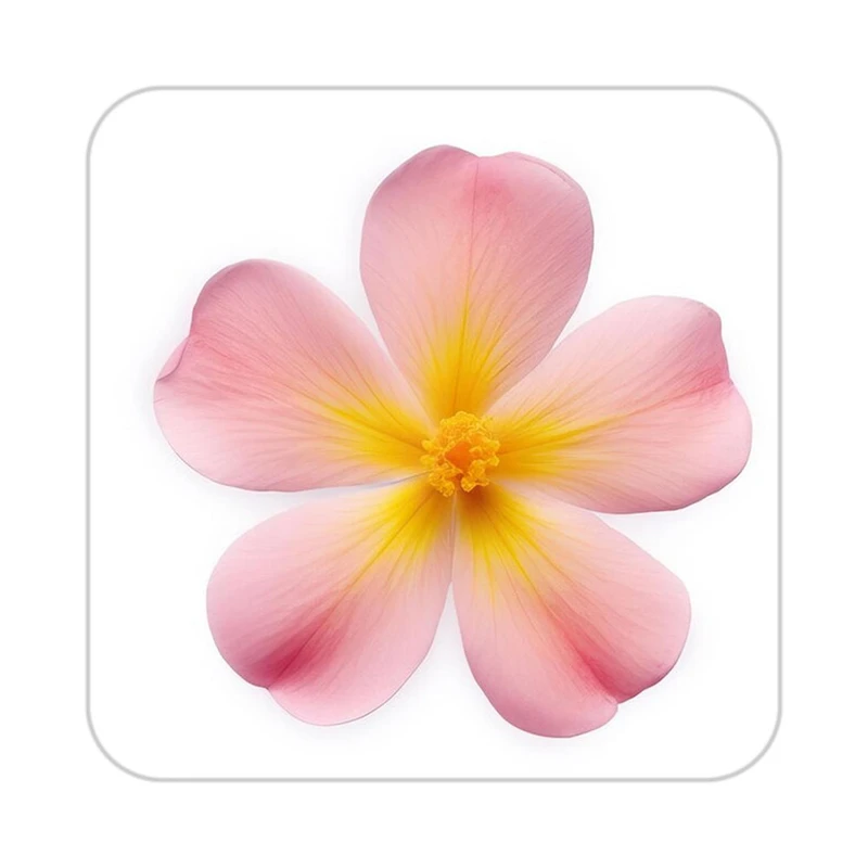 زیر لیوانی کاکتی طرح گل مدل mp17552