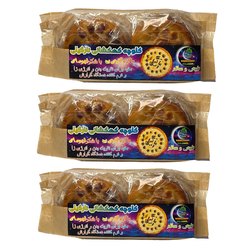 کلوچه نارگیلی شکر قهوه ای کهکشانی - 400 گرم بسته 3 عددی