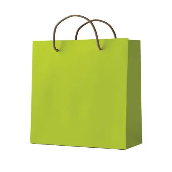 ساک دستی مدل 10086 بسته 12 عددی