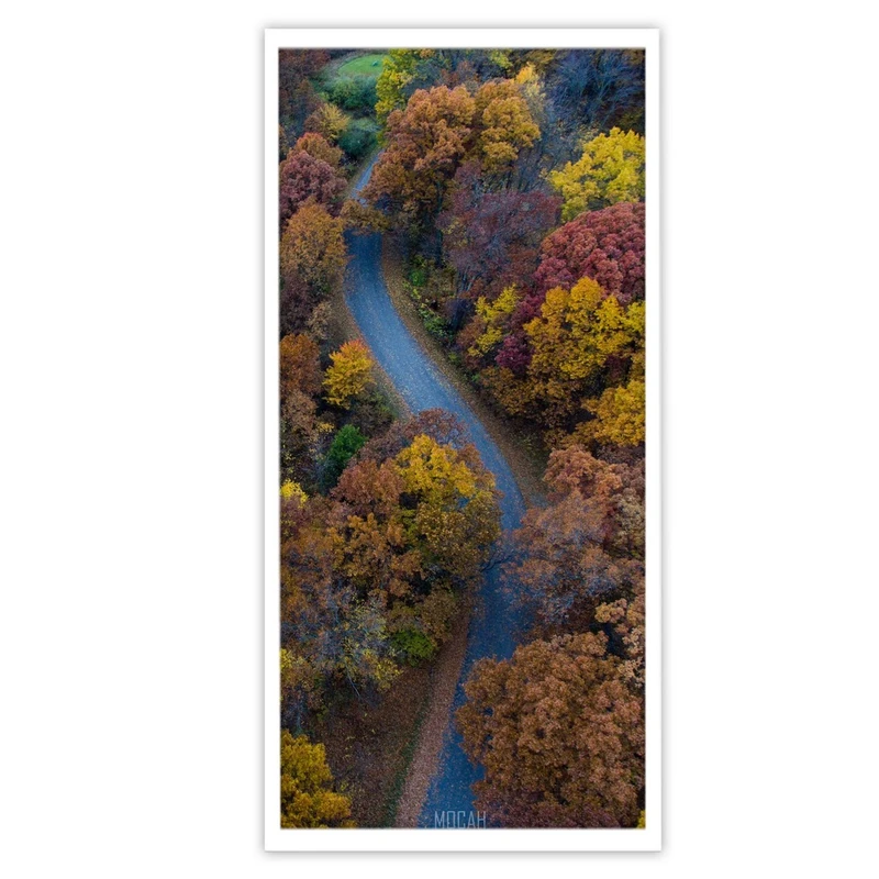 تابلو بکلیت طرح منظره جنگل و پاییز مدل W-S3282