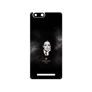MAHOOT Angelina Jolie Cover Sticker for GLX Pars