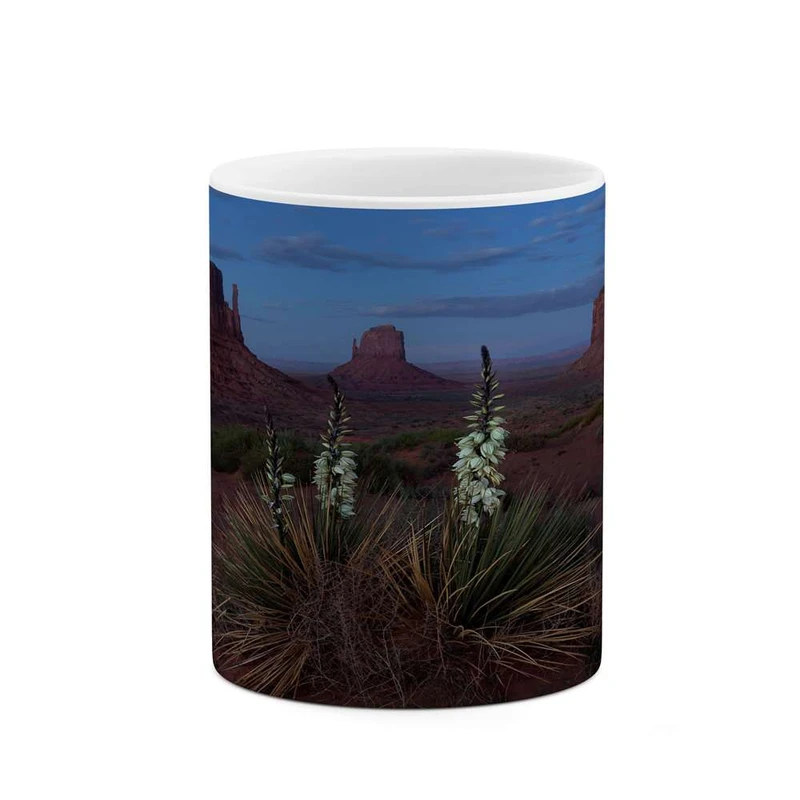 ماگ کاکتی مدل منظره کد mgh13157