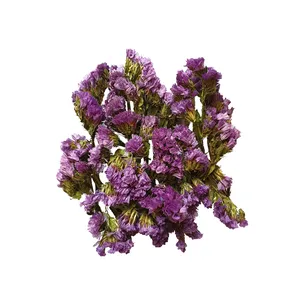 گل خشک مدل زنبوریV1