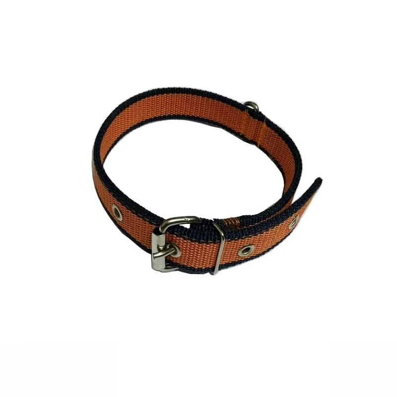 قلاده گردنی سگ مدل  برزنتی OrBL 2.5cm