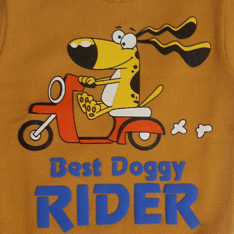 پلیور پسرانه مدل Rider رنگ خردلی