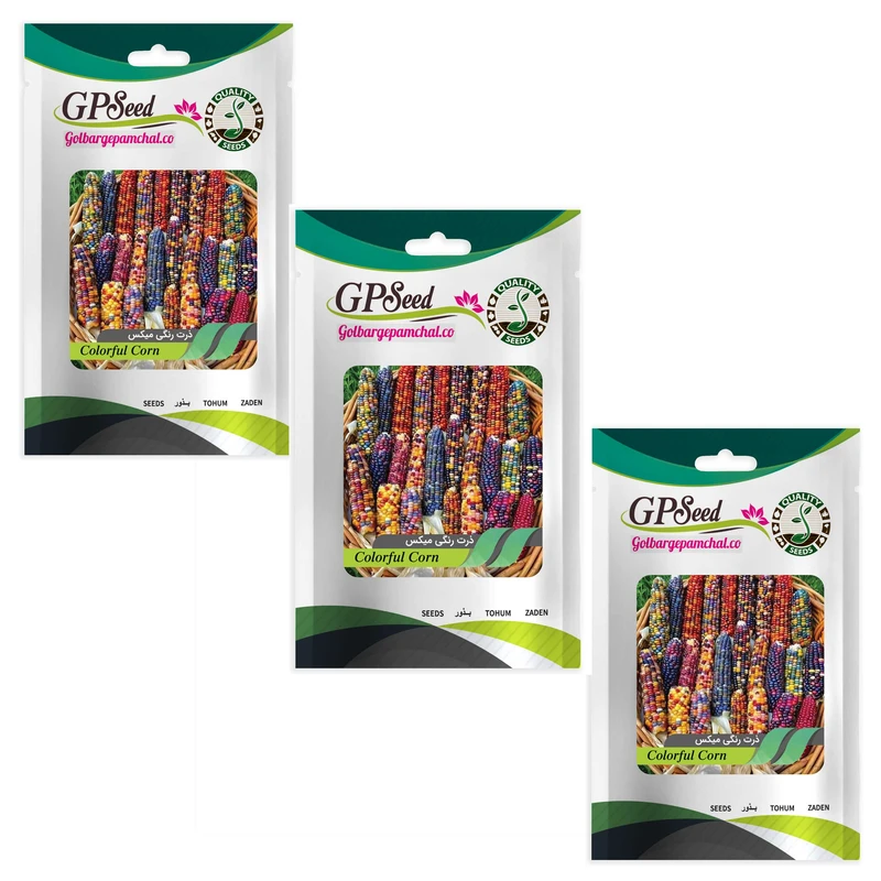 بذر ذرت رنگی میکس گلبرگ پامچال کد GPF-335 مجموعه 3 عددی
