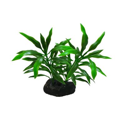 نقد و بررسی گیاه تزیینی آکواریوم مدل کریپتون توسط خریداران