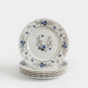 پیش دستی پارس اُپال مدل m120 بسته 6 عددی