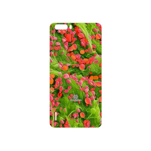 MAHOOT Atom Universe 3 Cover Sticker for Honor 6 Plus