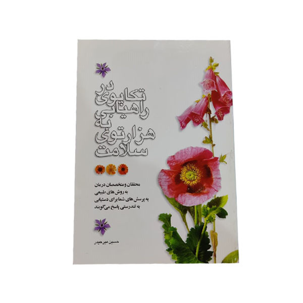 کتاب در تکاپوی راهیابی به هزارتوی سلامت اثر حسین میرحیدر نشر اطلاعات 