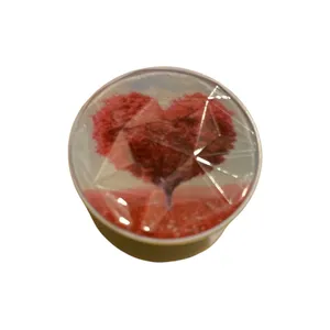 پایه نگهدارنده گوشی موبایل پاپ سوکت مدل DQ