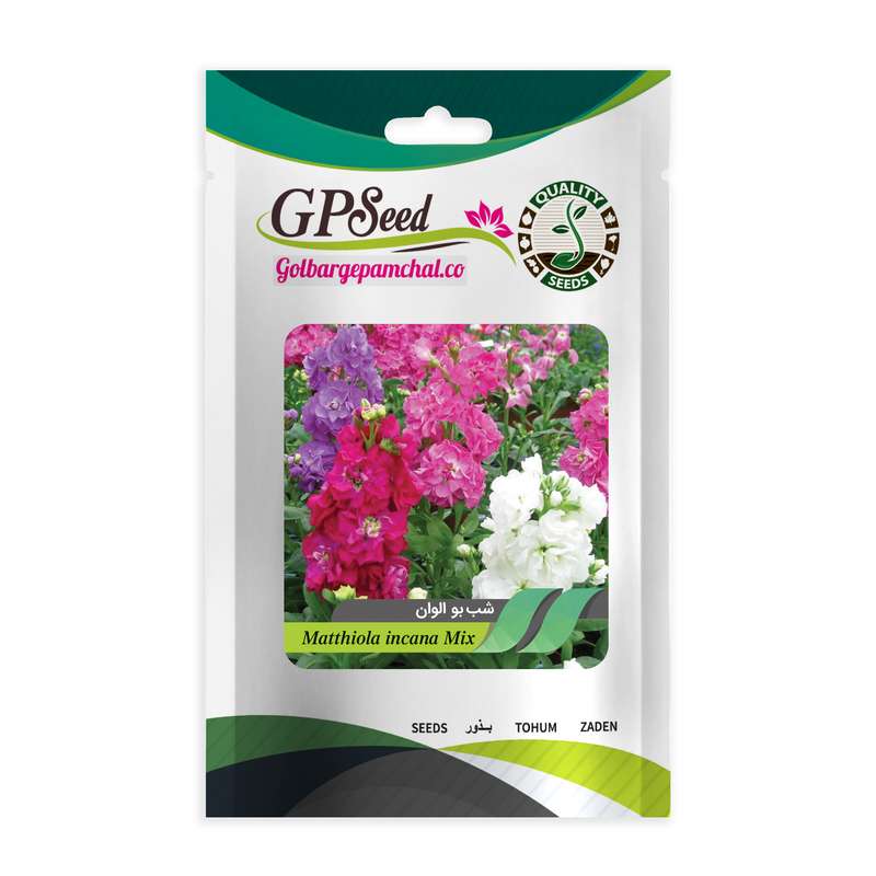 بذر گل شب بو الوان گلدانی گلبرگ پامچال کد GPF-058