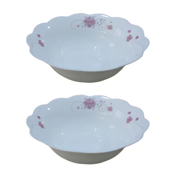 کاسه سالاد مدل فیور کد 01 بسته 2 عددی