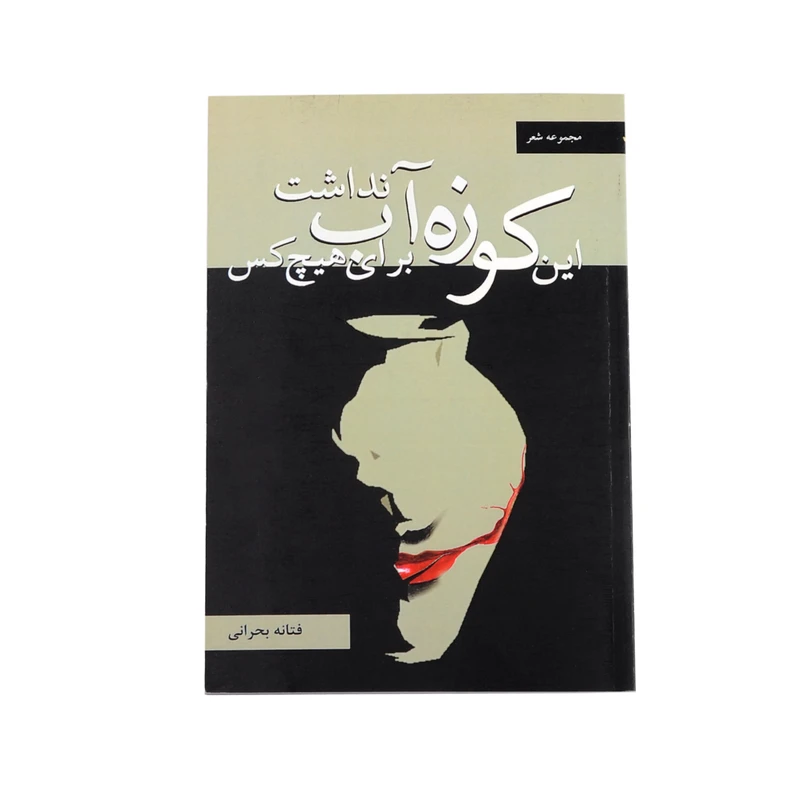 کتاب این کوزه برای هیچ کس آب نداشت اثر فتانه بحرانی نشر خیابان