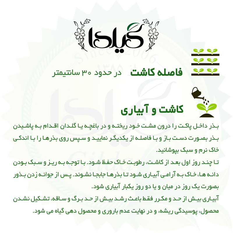 بذر کرچک سبز گیلدا کد 842