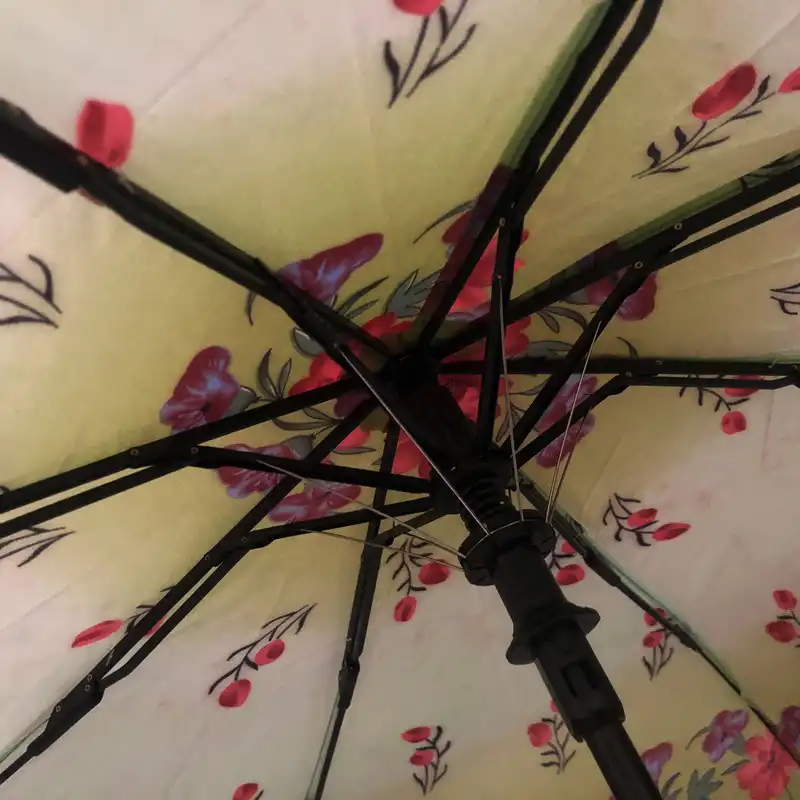 چتر تاپ مدل 817 کد 2