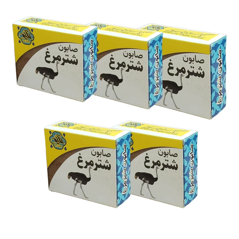صابون شستشو گیاهستان حکیم مدل شترمرغ وزن 70 گرم بسته 5 عددی