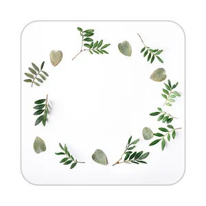 زیر لیوانی کاکتی طرح گل مدل mp19171