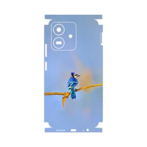 MAHOOT Cyanocitta cristata-FullSkin Cover Sticker for Honor Play 10