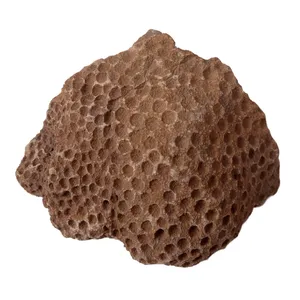 سنگ راف مدل فسیل مرجان کد RS1298