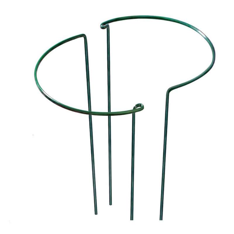 نگهدارنده گیاه مدل برگ انجیری بسته 2 عددی