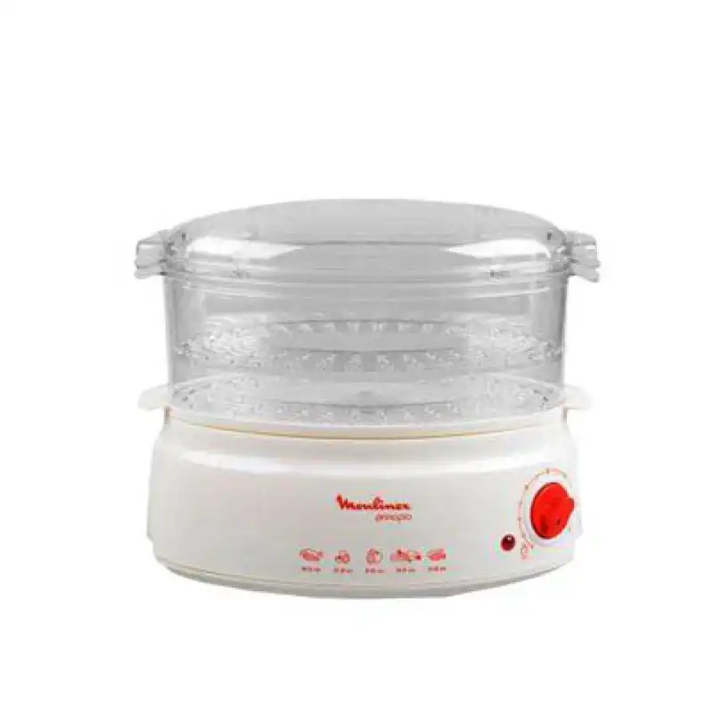 بخارپز مولینکس مدل V100