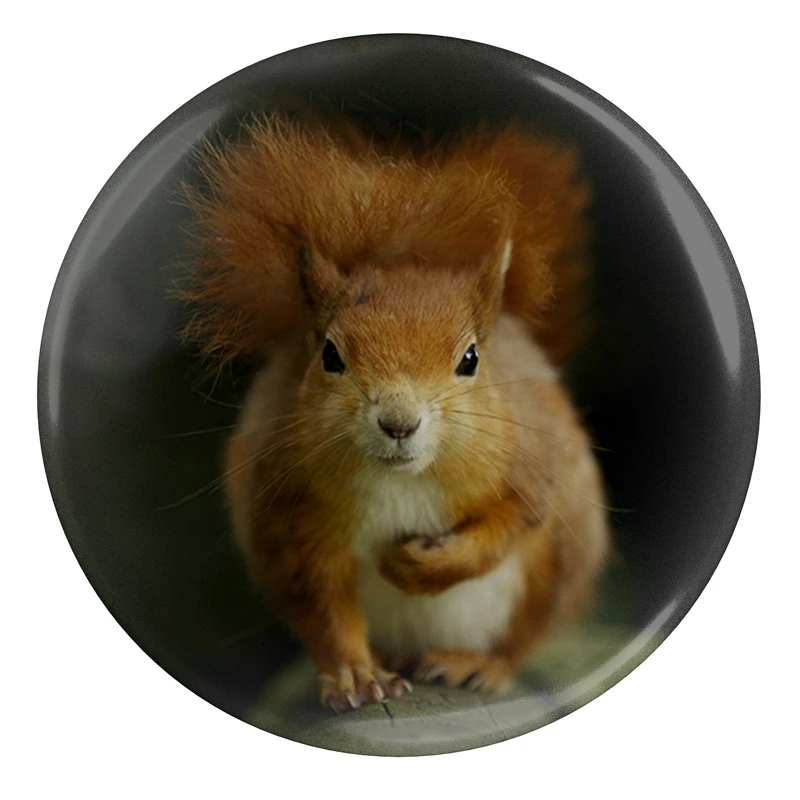 پیکسل طرح سنجاب مدل S1995