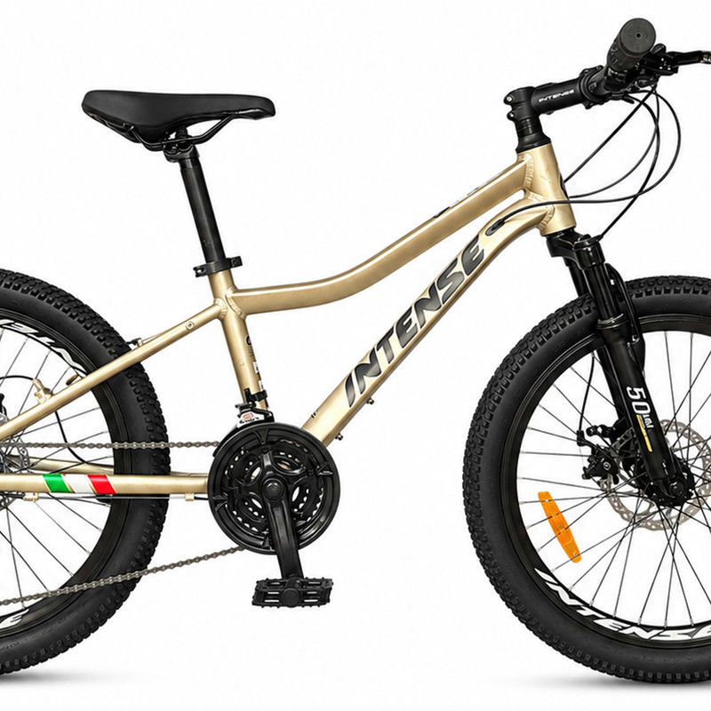 دوچرخه اینتنس مدل Wild Rider سایز 20 کد 2343