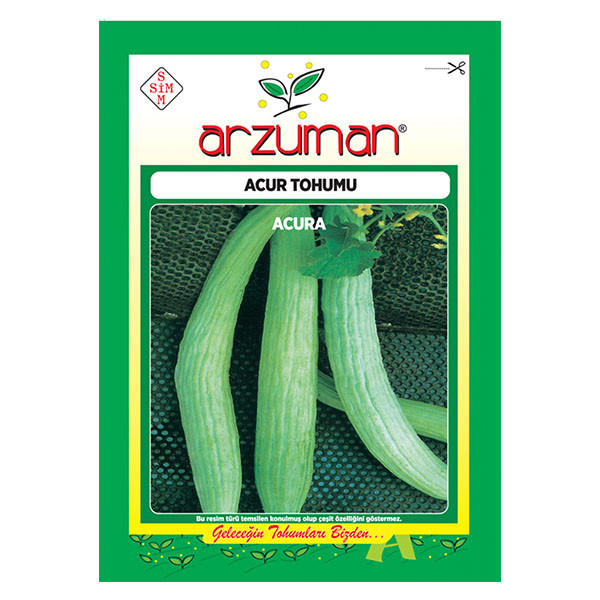 بذر خیار چنبر آرزومان کد 11551 بذر خیار چنبر آرزومان کد 11551