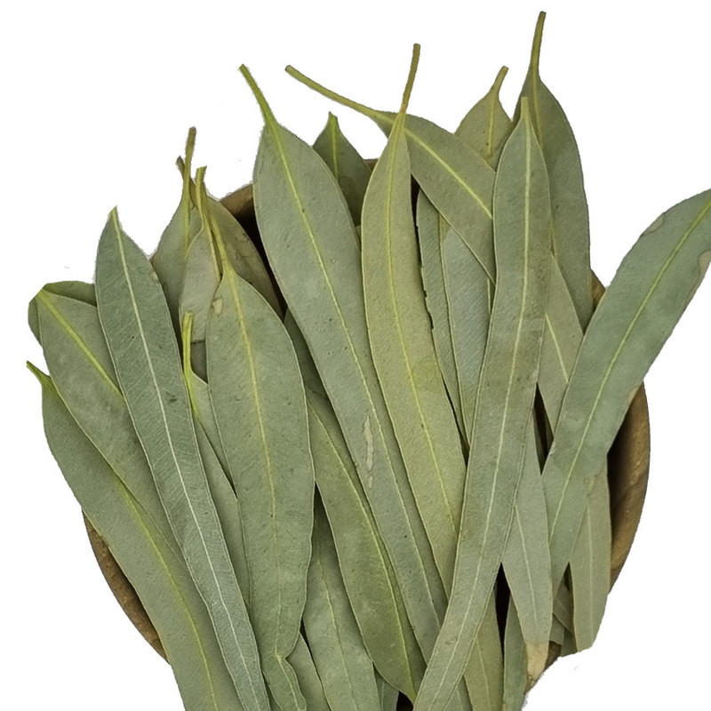 برگ اکالیپتوس ممتاز باباگلی - 60 گرم