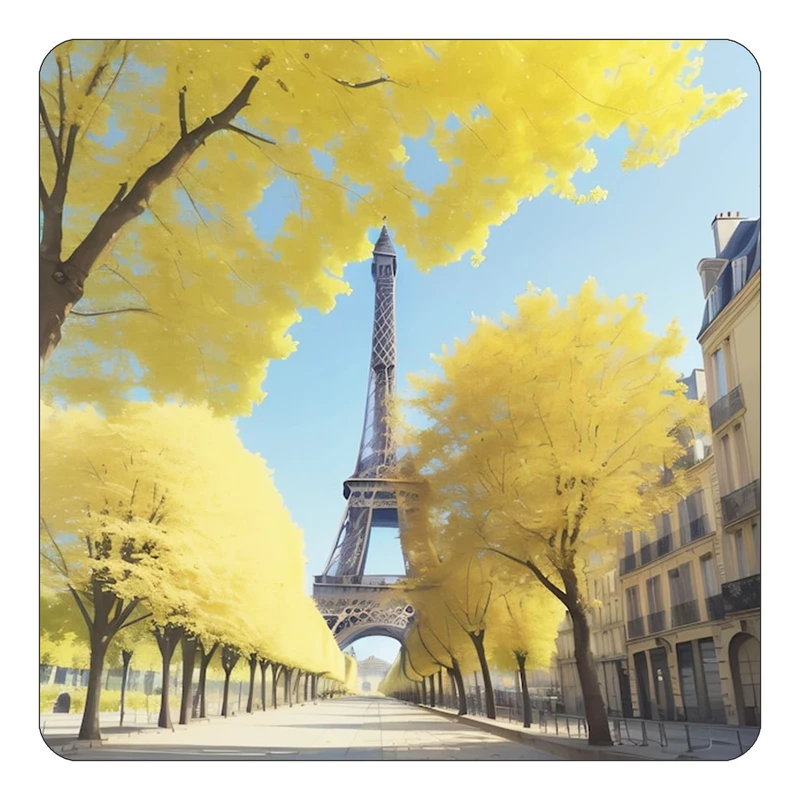 مگنت کاکتی طرح پاریس Paris مدل mp56912