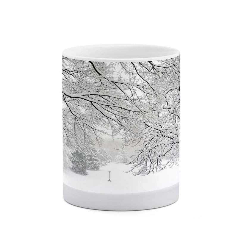 ماگ کاکتی مدل منظره برفی کد mgh15035