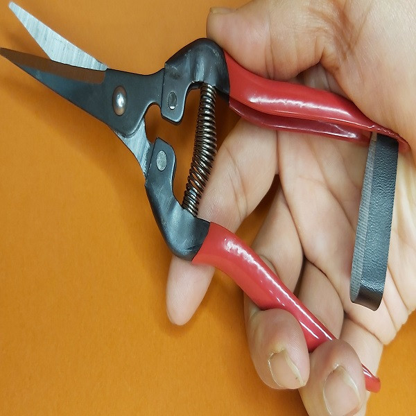 قیچی میوه چینی مدل پینگدا