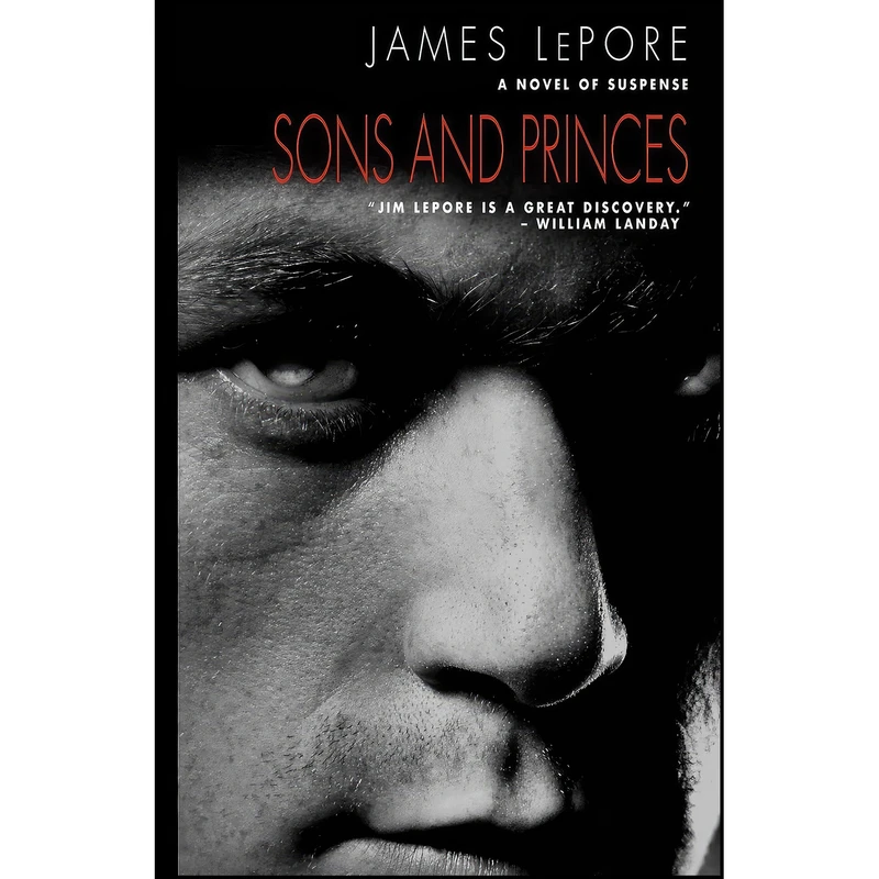 کتاب Sons and Princes اثر James LePore انتشارات The Story Plant