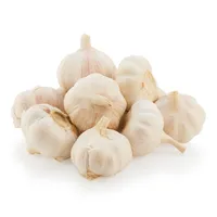 سیر خشک درجه یک - 1 کیلوگرم