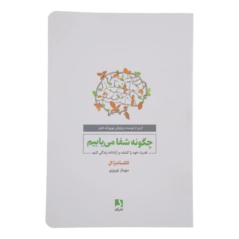 کتاب چگونه شفا می یابیم اثر الکساندرا ال انتشارات ذهن آویز 