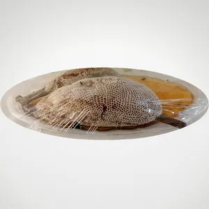 عسل طبیعی سر شاخه- 10000 گرم