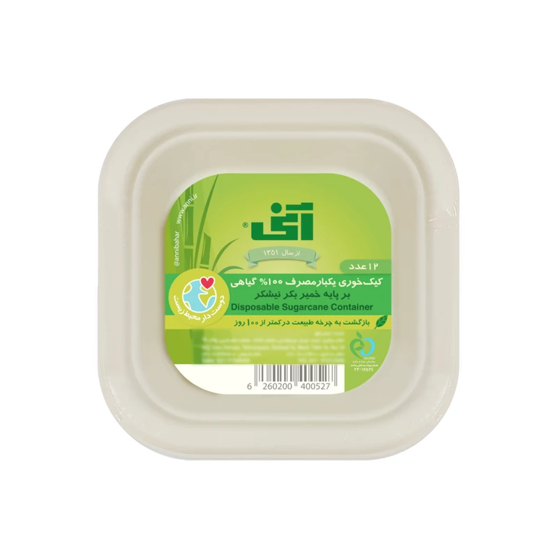 پیش‌ دستی یکبارمصرف آنی مدل 684 مجموعه 12 عددی