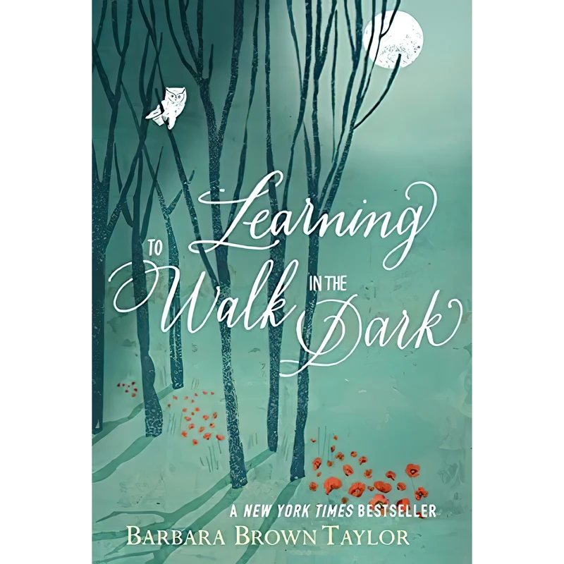 کتاب Learning to Walk in the Dark اثر Barbara Brown Taylor انتشارات HarperOne