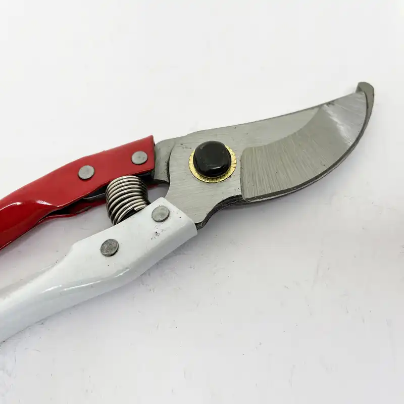 قیچی باغبانی کد RST00499