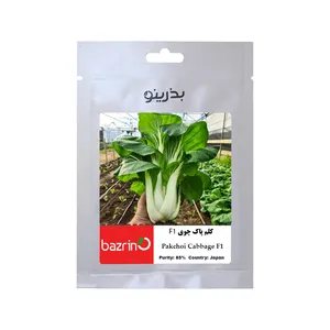 بذر کلم پاک چوی ژاپنی F1 بذرینو کد BZNO-280