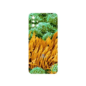 MAHOOT Atom Universe 6 Cover Sticker for Samsung Galaxy A51