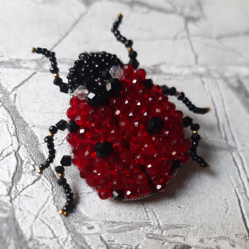 گل سینه زنانه مدل کفشدوزک کد 5036 گل سینه زنانه مدل کفشدوزک کد 5036